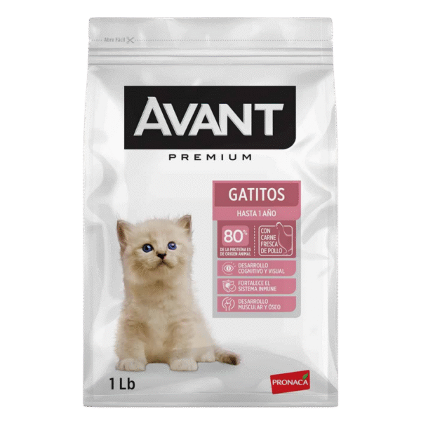 AVANT GATITOS