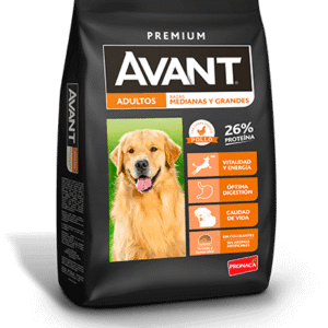 AVANT PERROS ADULTOS MEDIANOS Y GRANDES